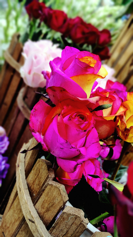 باکس گل رز هلندی مخملی هدیه تولد و ولنتاین