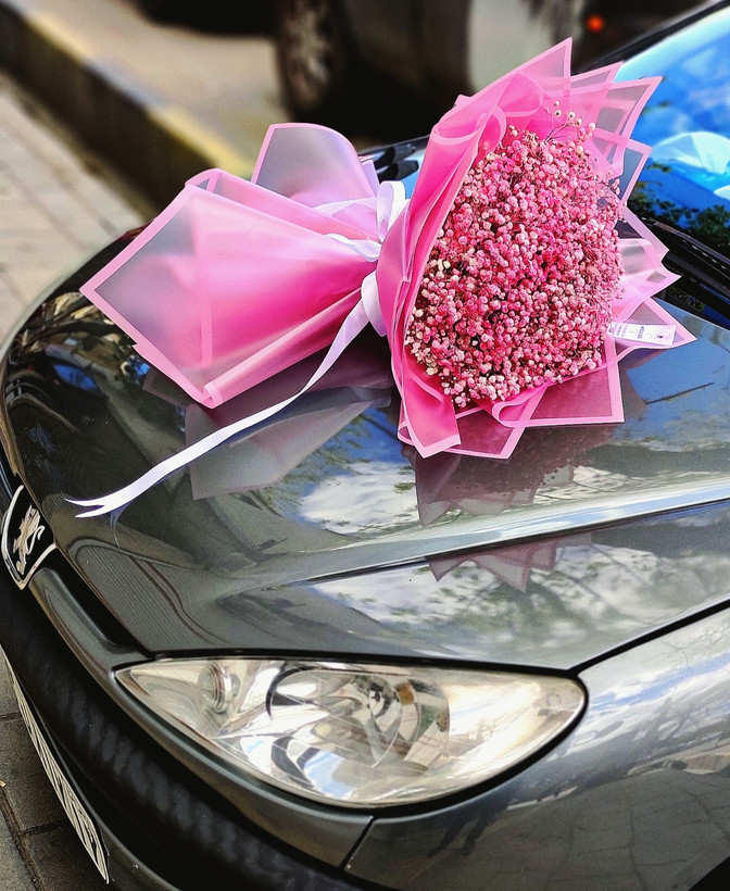 نمای نزدیک شاخههای گل عروس تازه و باطراوت