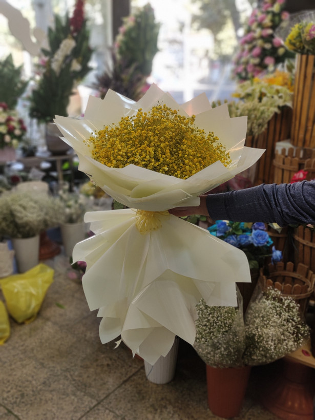 نمای نزدیک شاخههای ظریف گل ژیپسوفیلا سفید